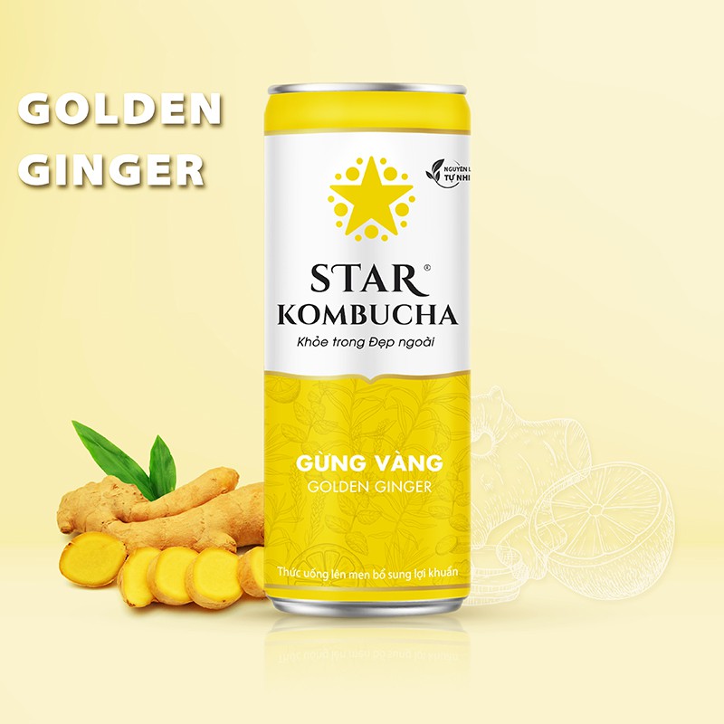 Trà KOMBUCHA Gừng Vàng / Golden Ginger (250ml/lon)/Thùng 12Lon - Star Kombucha.