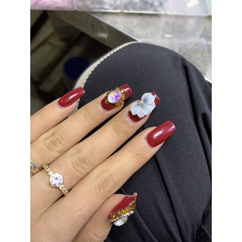 Hoa cúc nhọn - Hoa bột nail