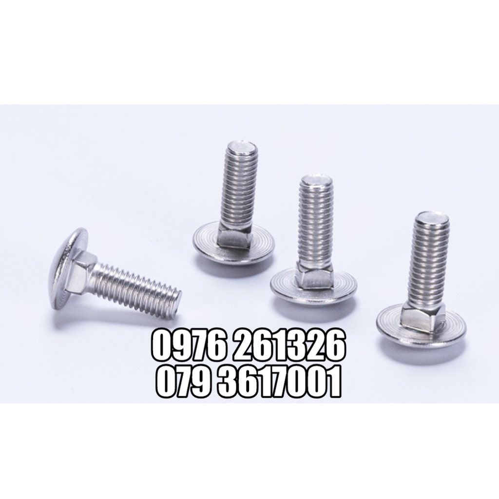 BULONG ĐẦU TRÒN CỔ VUÔNG INOX 304 M6x20 , M8x20 _ BỊCH 5 CON