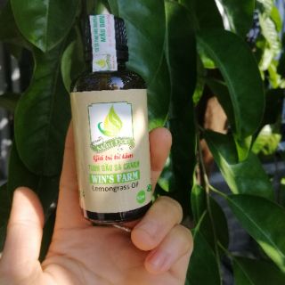 Tinh dầu sả chanh lọ 50ml