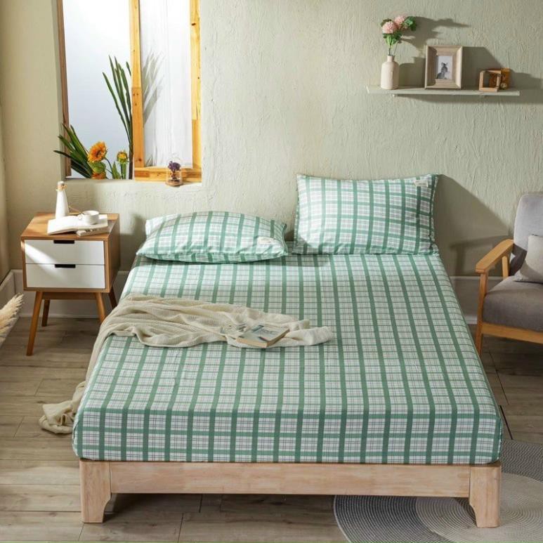 Set Ga Gối Cotton Tici 3 Món - Ga Gối Cotton Tici Nhập