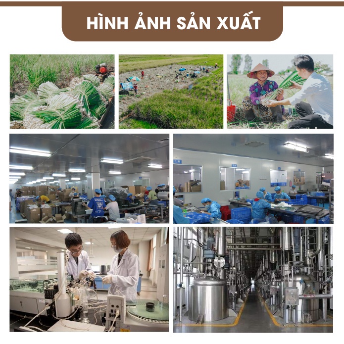 Combo 3 tinh dầu Ngọc Lan Tây + Cam Ngọt + Quế Homer 20ml/chai