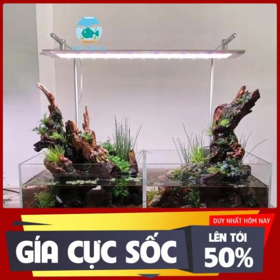 Giá treo đèn Week Raptor V Series, L Series, M Series - SUN AQUARIUM