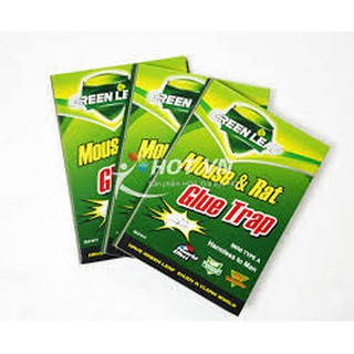 Keo Bẫy Chuột Siêu Dính