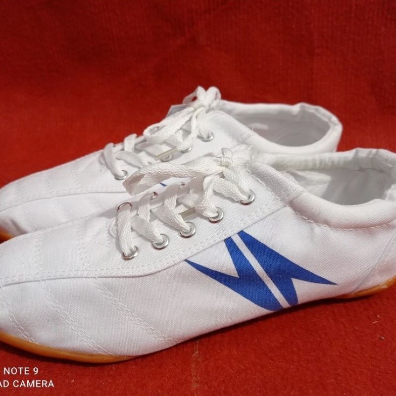 Giày bóng đá vải – giày đinh CHAGO GTT189