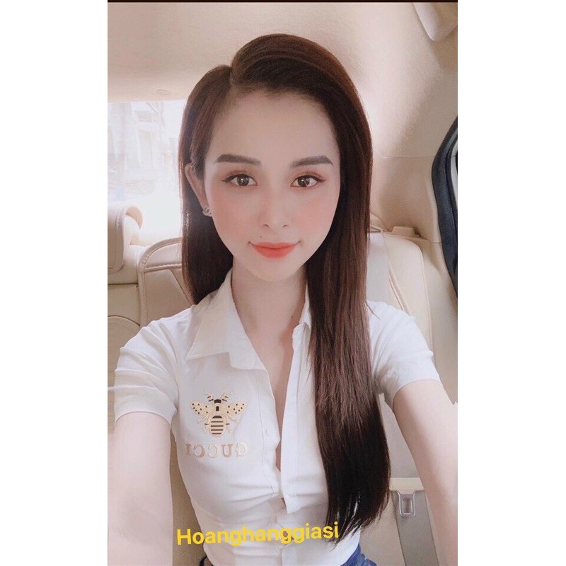 Áo sơ mi nữ ong , Áo sơ mi công sở