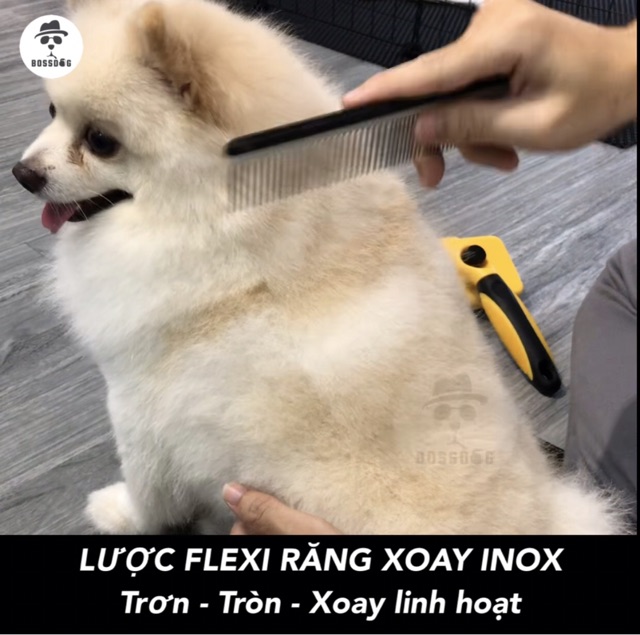 Lược thẳng chải lông chó, gỡ rối lông cho Poodle Corgi Husky Pom | BossDog