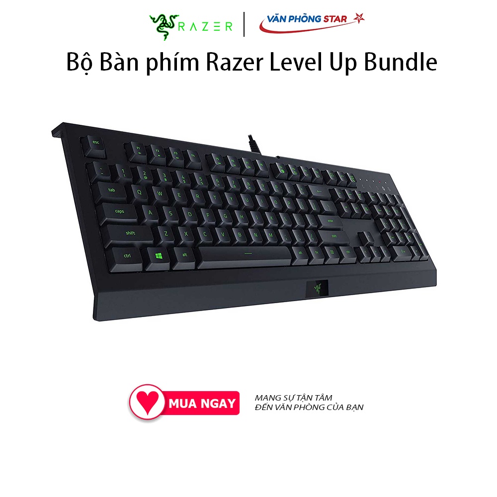 Bộ Bàn phím Razer Level Up Bundle (Cynosa Lite + Viper Mini + Gigantus V2 Medium)