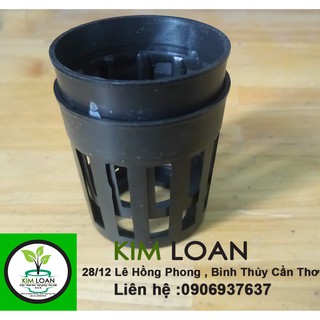 Combo 100 chậu cấy mô đường kính 4cm