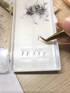 Mi hoa sơn trà