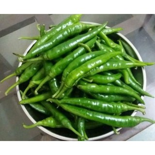 Hạt giống ớt xanh Hàn Quốc
