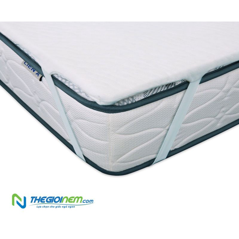 Topper Cao Su Thiên Nhiên Liên Á