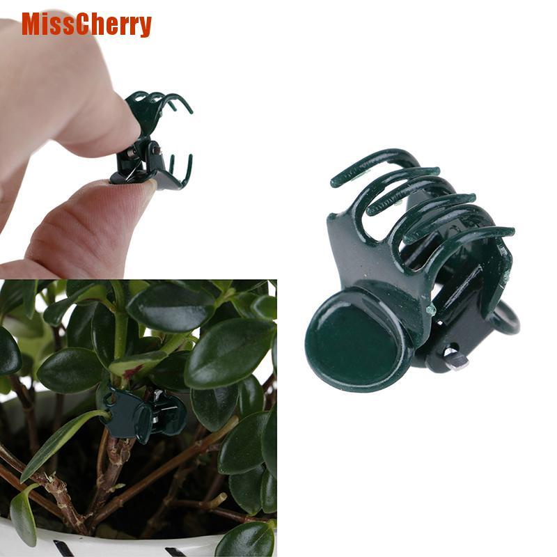 Bộ 100 Dụng Cụ Hỗ Trợ Trồng Hoa Lan Tiện Dụng