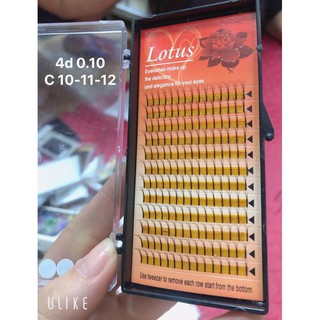 mi cong tự nhiên 3d và 4d diamond