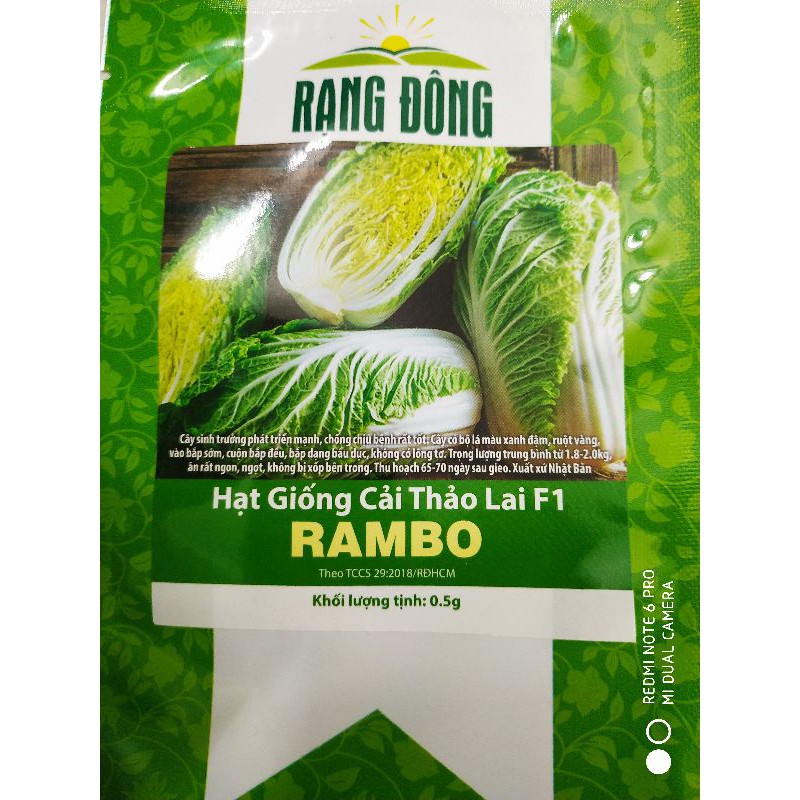 Hạt giống Cải thảo 0.5gr❤️FREESHIP XTRA❤️