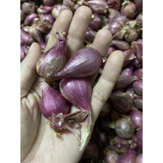 Hành tím Đà Lạt