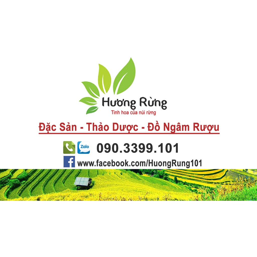 Sao biển khô 5 con, bổ thận tráng dương