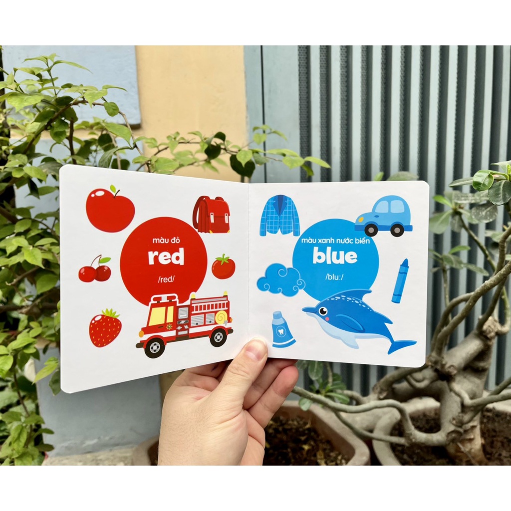 Bộ sách bìa cứng Thư viện hình ảnh đầu tiên cho bé về thế giới xung quanh - Baby's First Picture Book (8 Cuốn)
