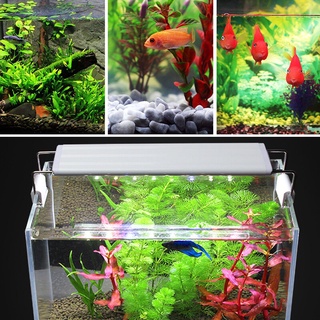 Đèn máng hồ cá 40cm - 50 cm XML 40 (Trắng)