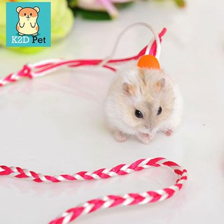 Dây dắt hamster, thỏ, Sóc , đuôi mập, chuột lang