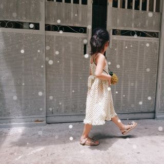 Túi trái Thơm Handmade