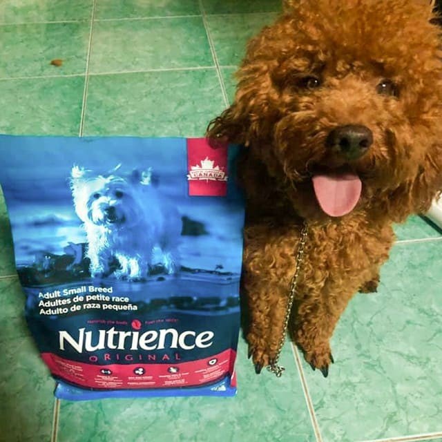 [DINH DƯỠNG CAO] Thức Ăn Cho Chó Nhỏ Nutrience Original Bao 500g - Thịt Gà, Rau Củ Quả Và Trái Cây Tự Nhiên