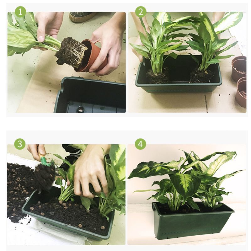 ✿ Chậu Trồng Cây Cảnh Treo Tường Dạng Đứng Tiện Lợi