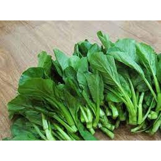 [ Bán chạy ] Hạt giống Cải ngồng-20g (tặng kèm 20 hạt Cải Kale Khủng Long)