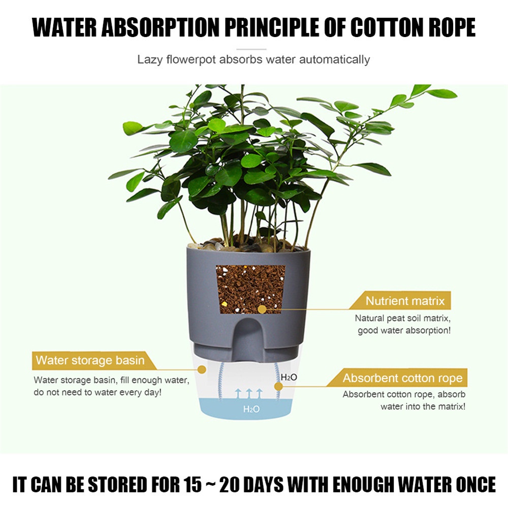 Chậu trồng cây thủy canh hình tròn trong suốt 2 lớp tự tưới nước kèm dây thừng cotton