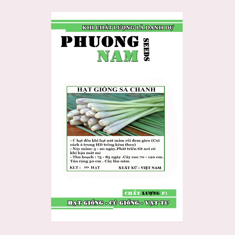 10H - HẠT GIỐNG SẢ CHANH