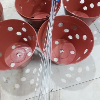 Sỉ 20 chậu trồng lan kèm quai treo phi 20cm