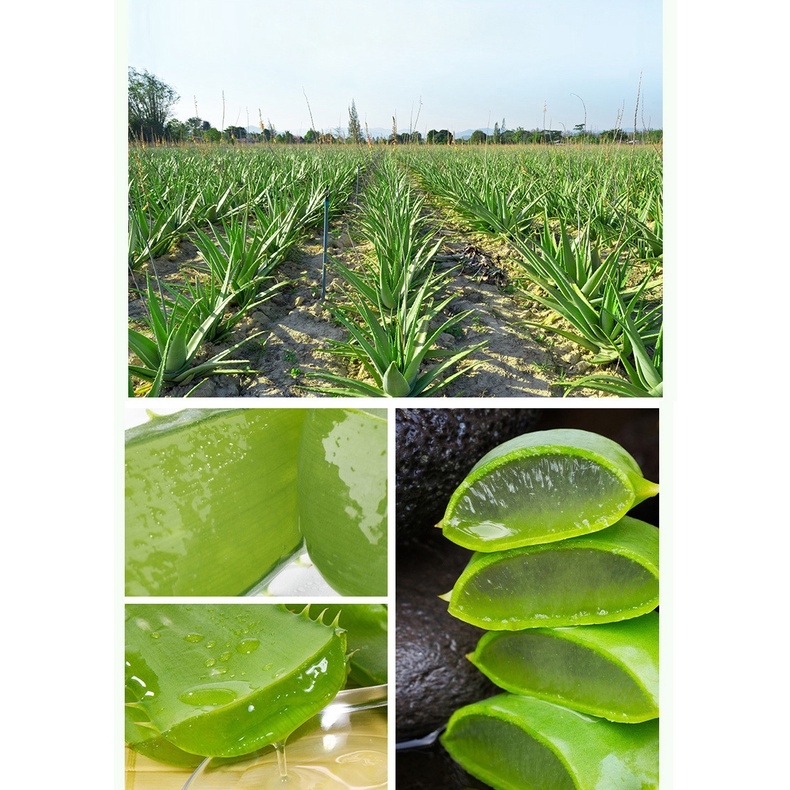 Kem dưỡng da chống mụn Aloe Vera Gel Làm mờ vết thâm Làm trắng da Dưỡng ẩm Kem chống nắng Gentle Repairing 40g