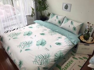 COTTON PRINCESS - COTTON HÀN QUỐC