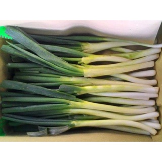 Rau củ tươi Đà Lạt - 500G Hành baro tươi vừa thu hoạch