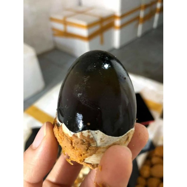 10 trứng bắp thảo