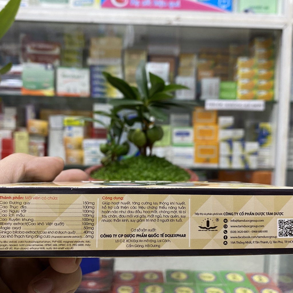 ✅ [Chính Hãng] Te bi chi fast (cova brain alz)