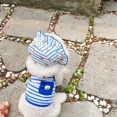 Áo hai dây sọc kèm nón gấu dành cho thú cưng