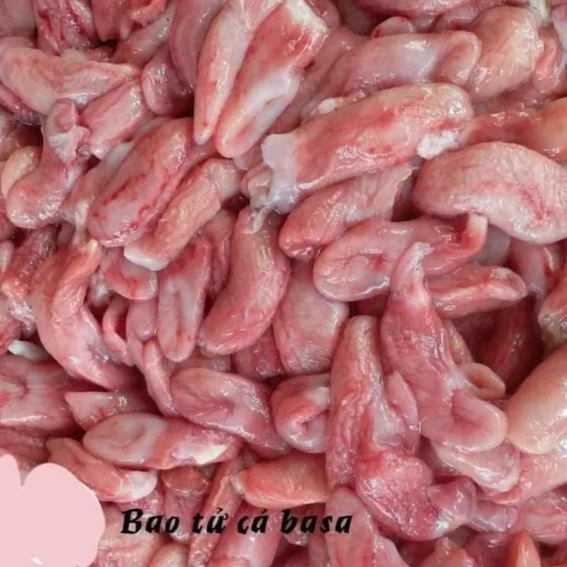 Bảo Tử Cá Basa