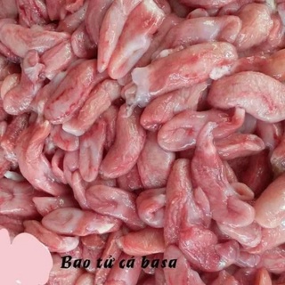 Bảo tử cá basa