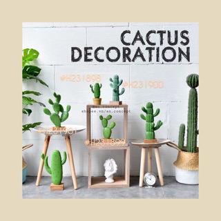 [HOME DECOR - CACTUS COLLECTION] Xương rồng sứ