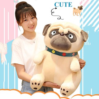 Chó Bông Mặt xệ Pug