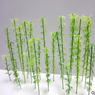 Cây trúc trang trí terrium chậu cây tiểu cảnh