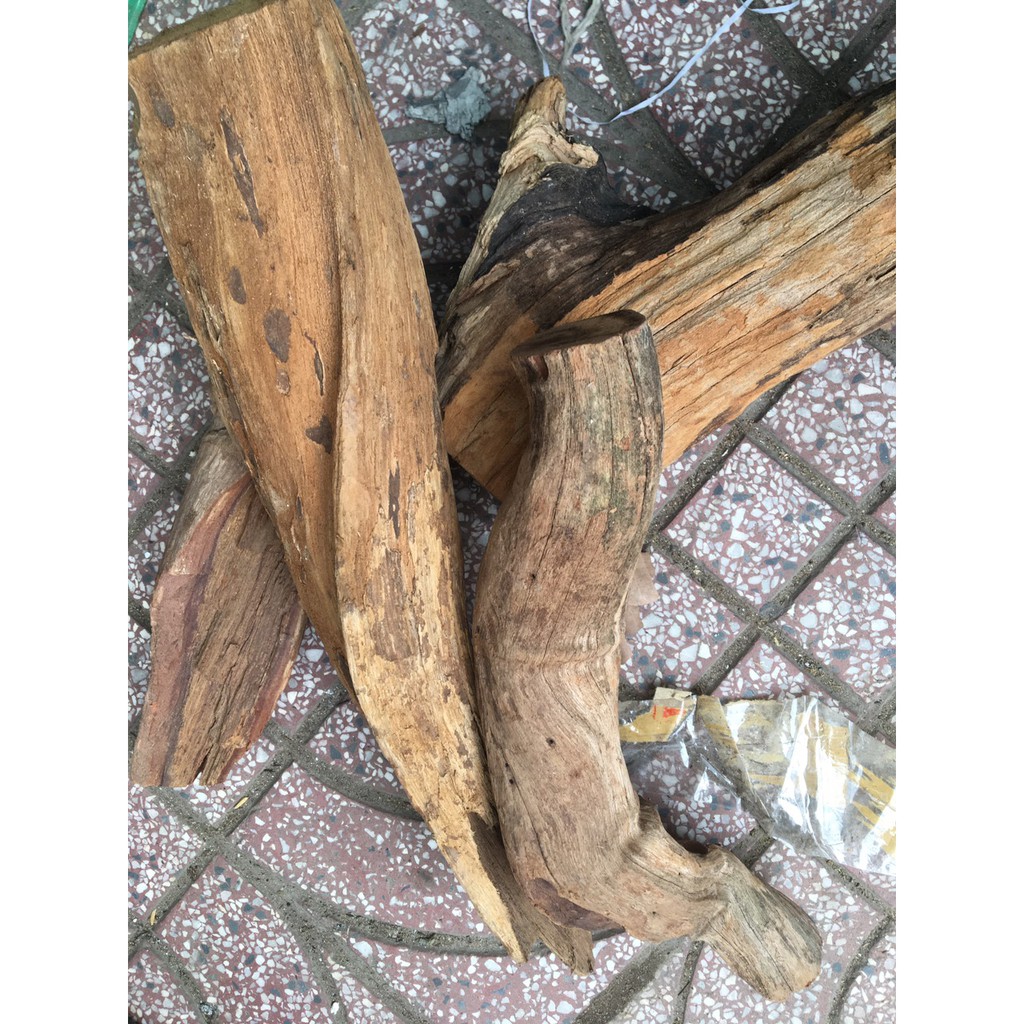 4 Kg Rễ gỗ nghiến ghép lan dài 25 đến 30 cm