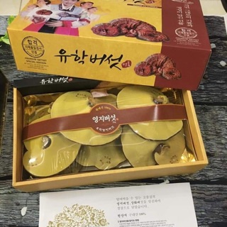 Nấm linh chi hàn quốc