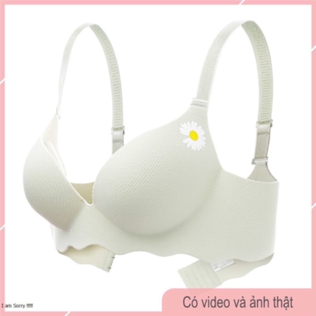 ÁO LÓT ĐÚC THÔNG HƠI ĐỆM BÀN TAY CÚC HOẠ MI DAISY