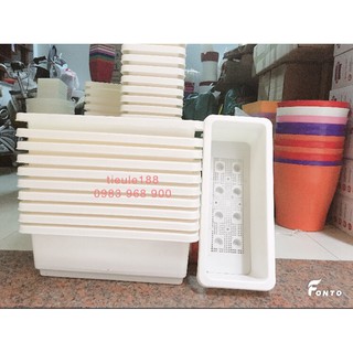 Combo 5 chậu trồng rau thông minh