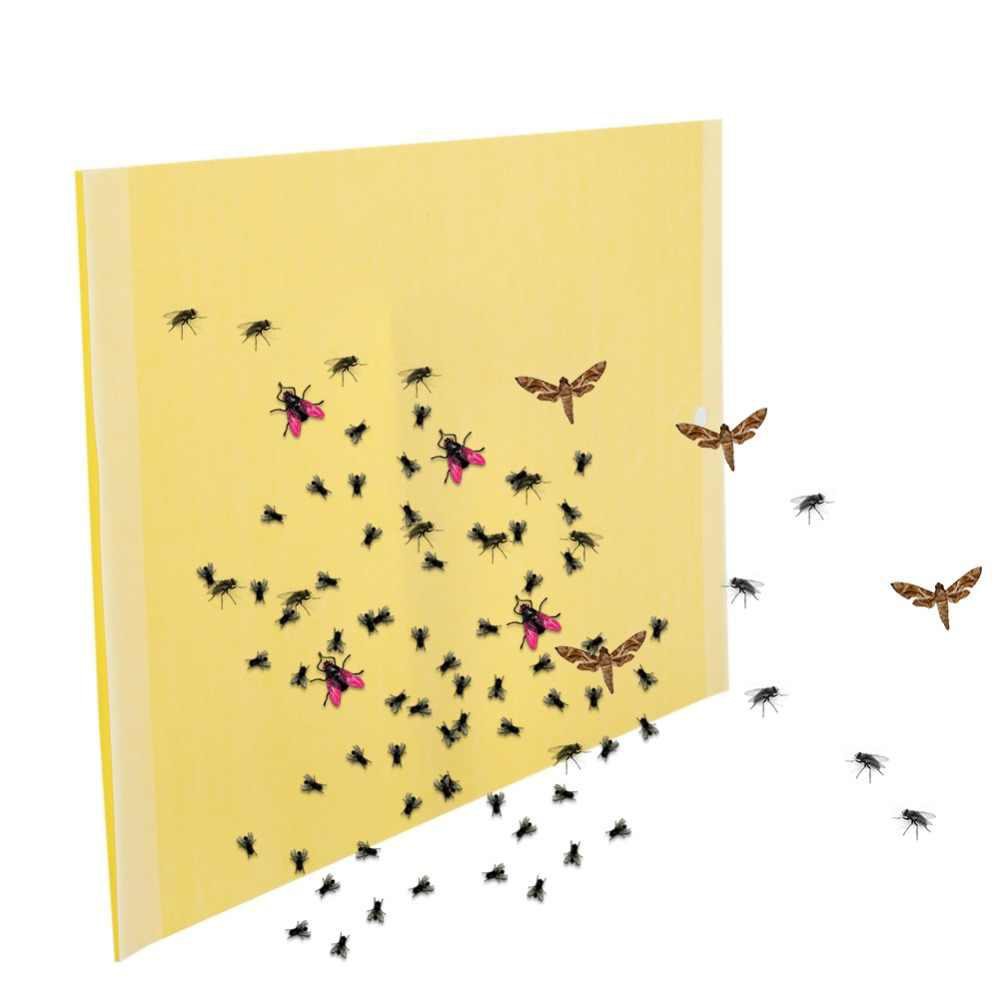 Bộ 10 Miếng Dán Diệt Côn Trùng | Bẫy Dính Côn Trùng | Miếng Dán Ruồi Vàng, Nhện, Bọ, Bướm Loại 20x25cm