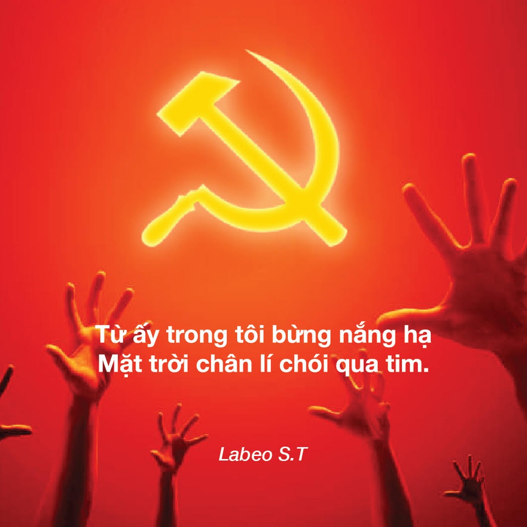 LB17 Áo sweater điếu cày vàng Labeo Áo nỉ dáng rộng dày dặn