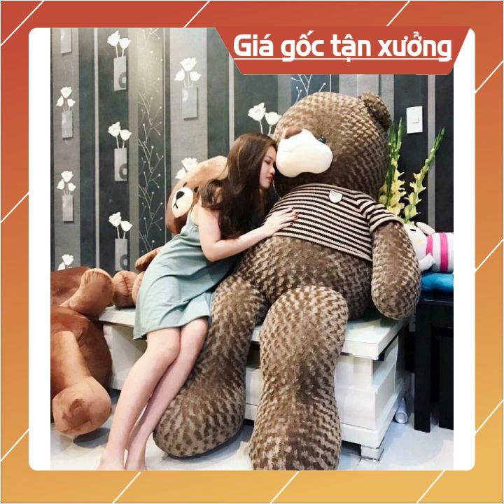 Gấu bông Teddy [_GIÁ GỐC TẬN XƯỞNG_]  Gối ôm Teddy  Hình Thú Làm Quà Tặng Siêu Đáng Yêu 95cm-1m8