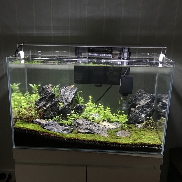Bộ bể cá cảnh kính siêu trong dài 50cm đầy đủ- Bể cá thủy sinh để bàn